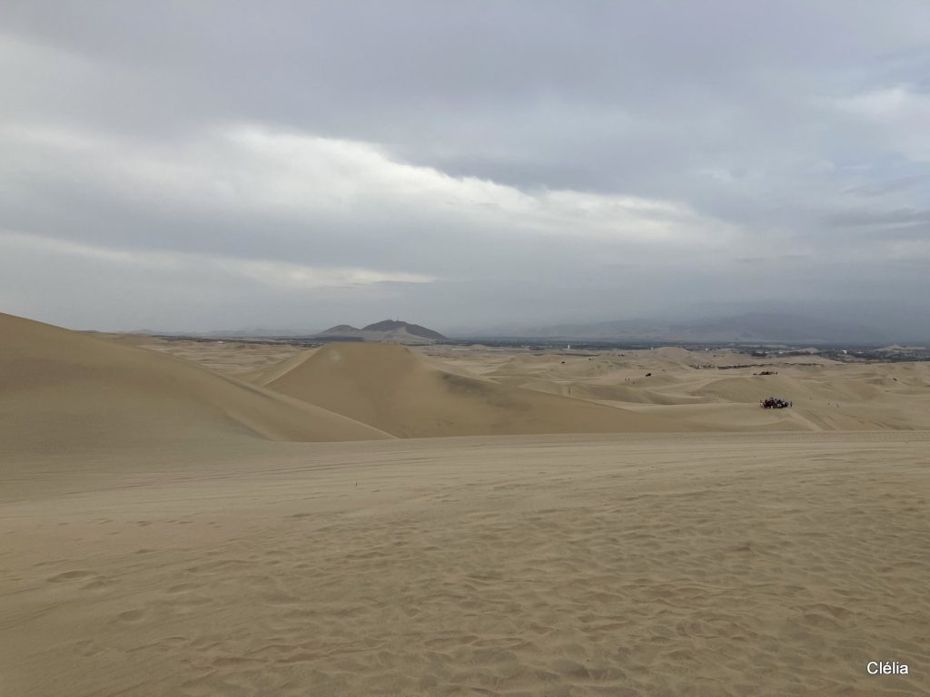 Vue spectaculaire du désert de Ica au Pérou – Excursion incontournable depuis Lima