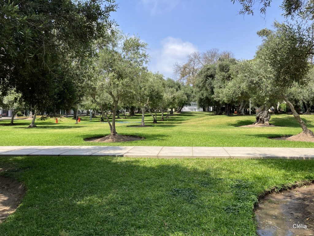 Parque del Olivar à San Isidro, un lieu incontournable à visiter lors d'un voyage à Lima