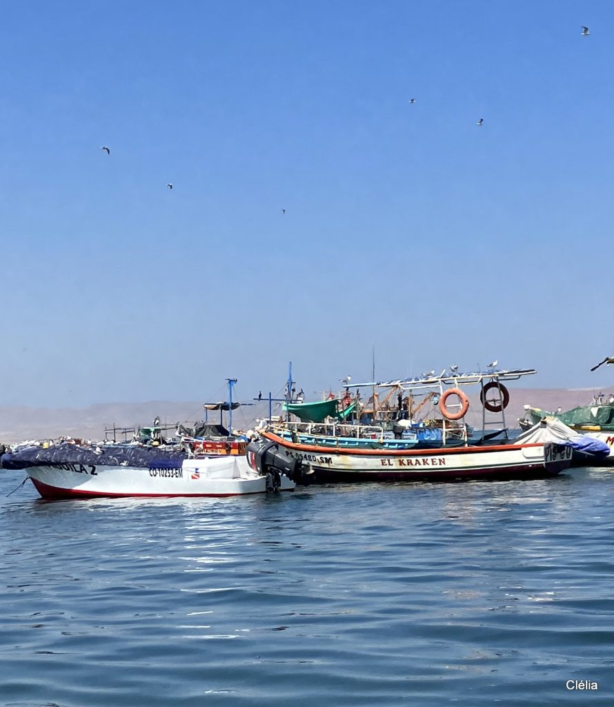 Port de Paracas au Pérou, paysage côtier naturel
