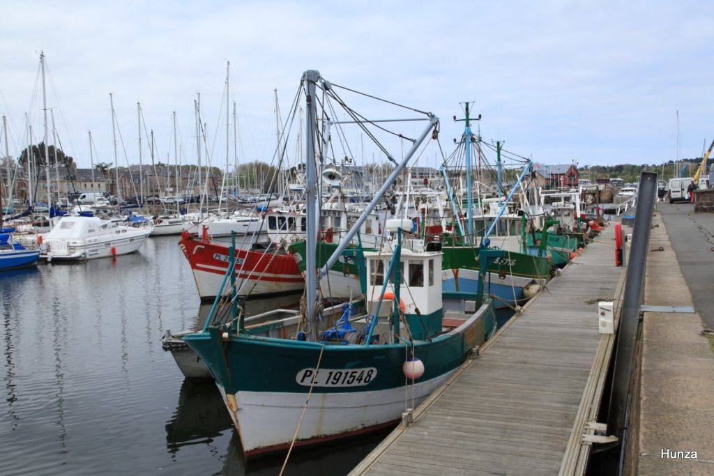Vue panoramique du port de Paimpol sur le sentier GR34