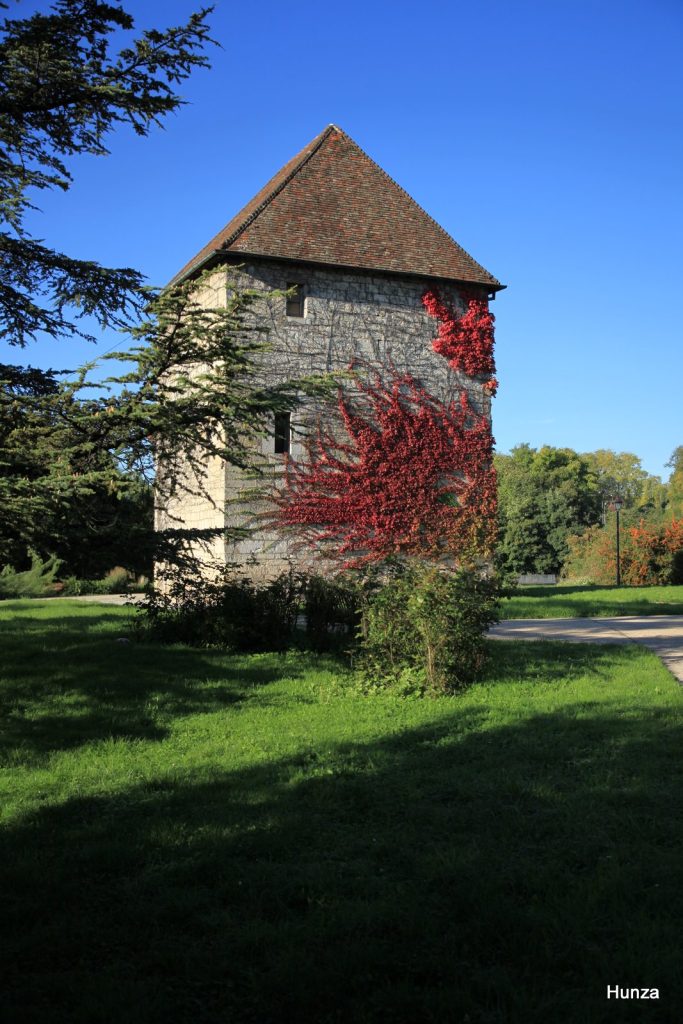 Tour Montmart au milieu de la végétation à Besançon