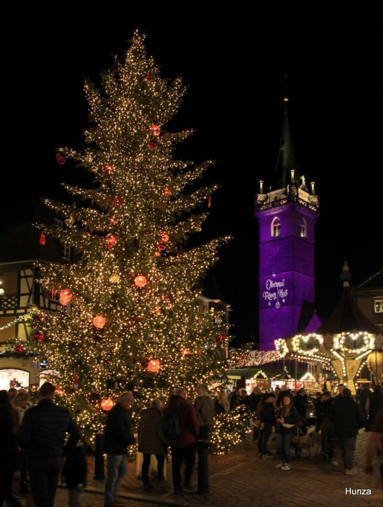 Sapin de Noël haut de 12 m sur la place du Marché à Obernai, avec en arrière-plan le beffroi