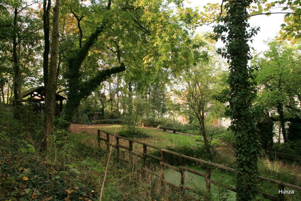 Butte Montmartre, jardin sauvage Saint-Vincent