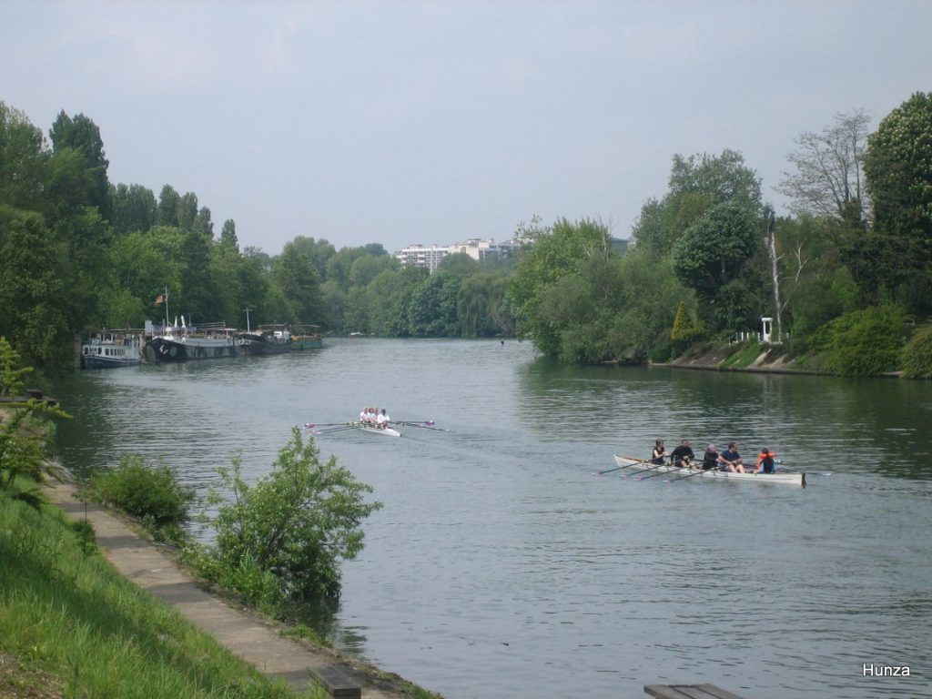 Aviron sur la Marne à Champigny-sur-Marne