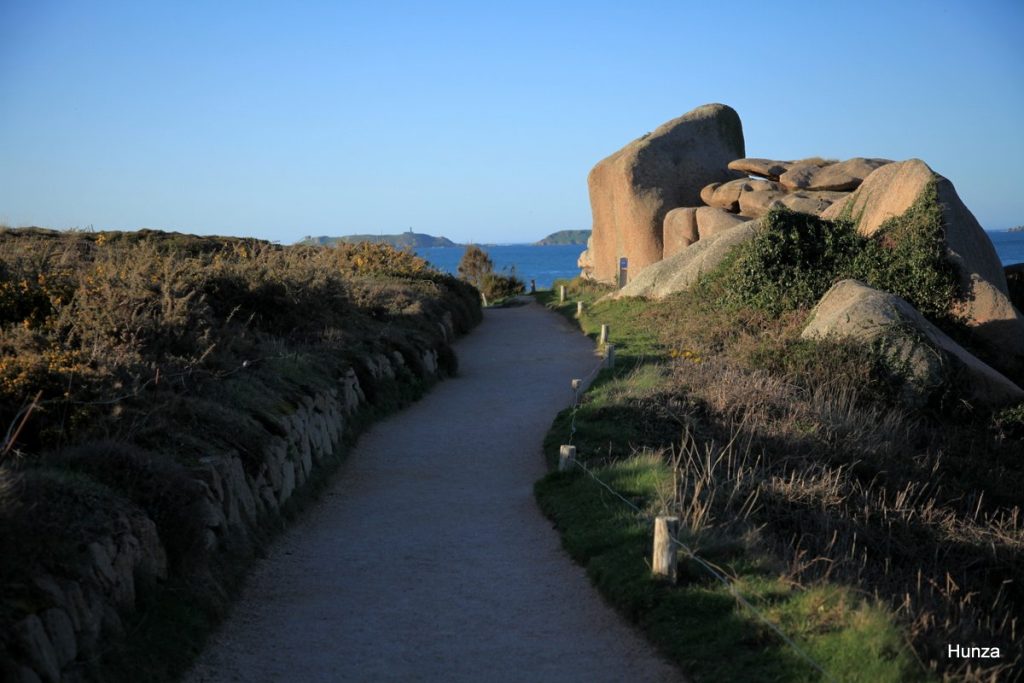 Sentier des douaniers GR34 entre landes et rochers de granit rose en Bretagne