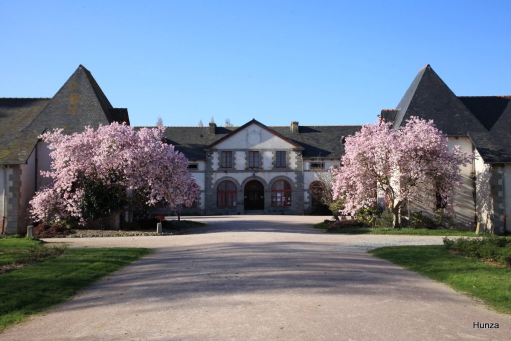 Arbres en fleurs dans le haras national de Lamballe