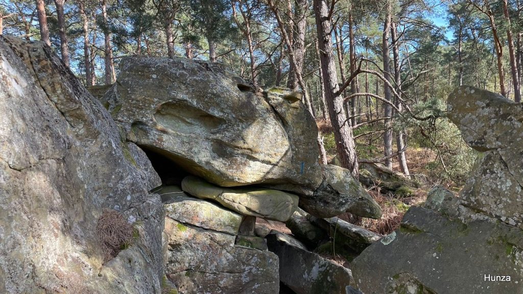 Roche du Vautour sur le sentier n°3 dans le Rocher CASSEPOT