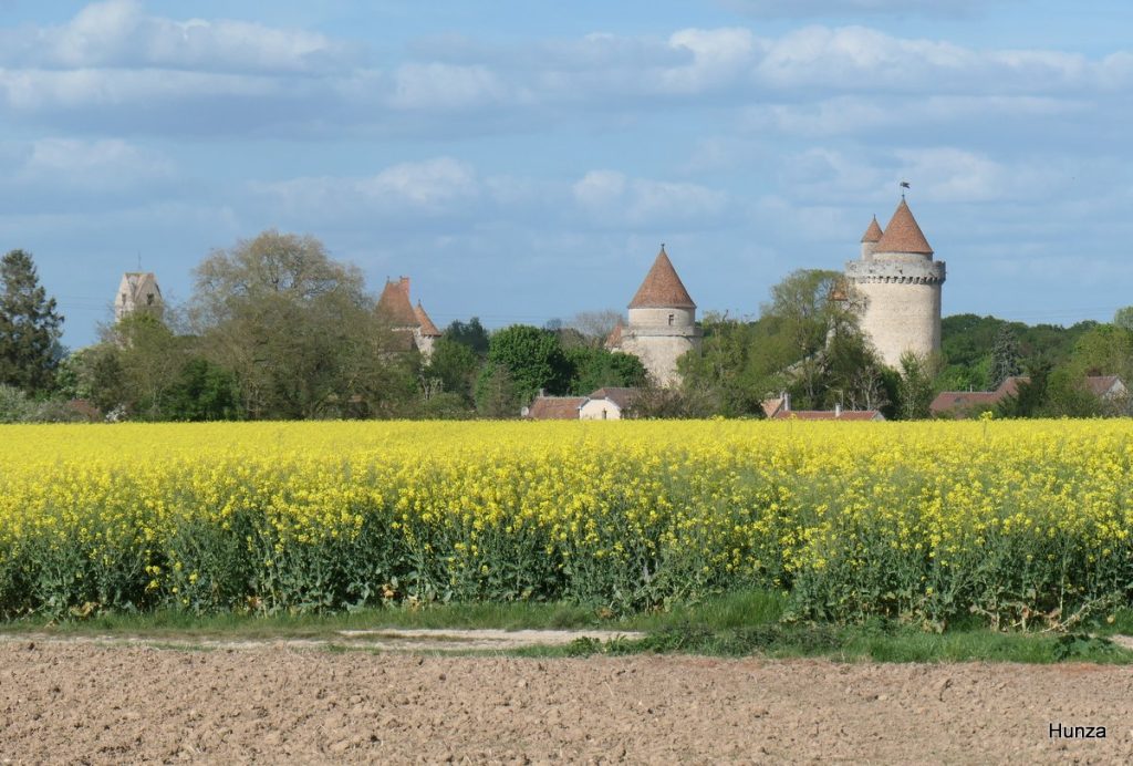 Château de Blandy-les-Tours vu depuis les champs de colza en Seine-et-Marne sur le GR1