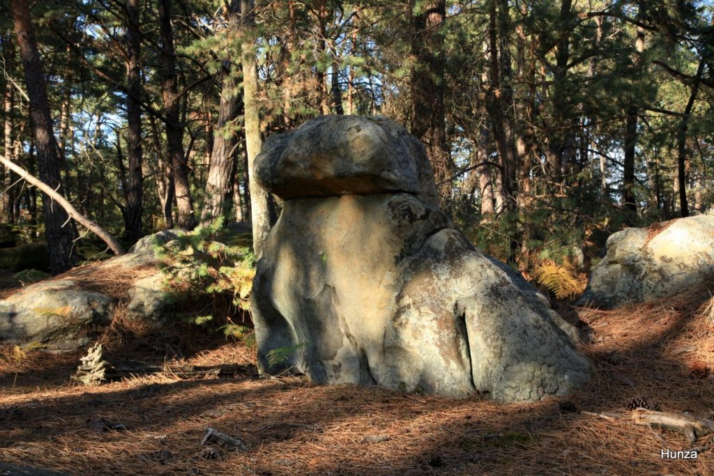 Lumière du soir sur un curieux bloc de grès le long du sentier n°3 Denecourt et Colinet dans le Rocher Cassepot