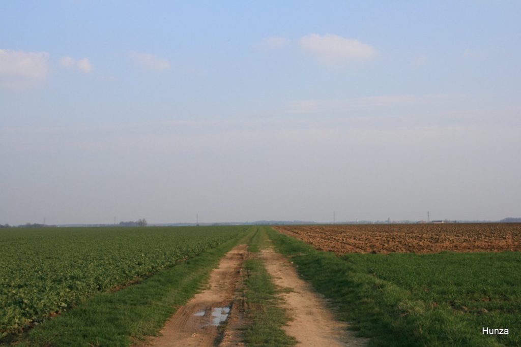 Lumière du soir sur les champs près d’Andrezel en Brie