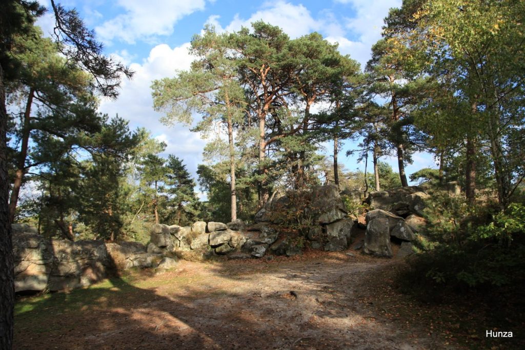 Paysage typique de la forêt de Fontainebleau avec rochers et pins autour de la tour Denecourt