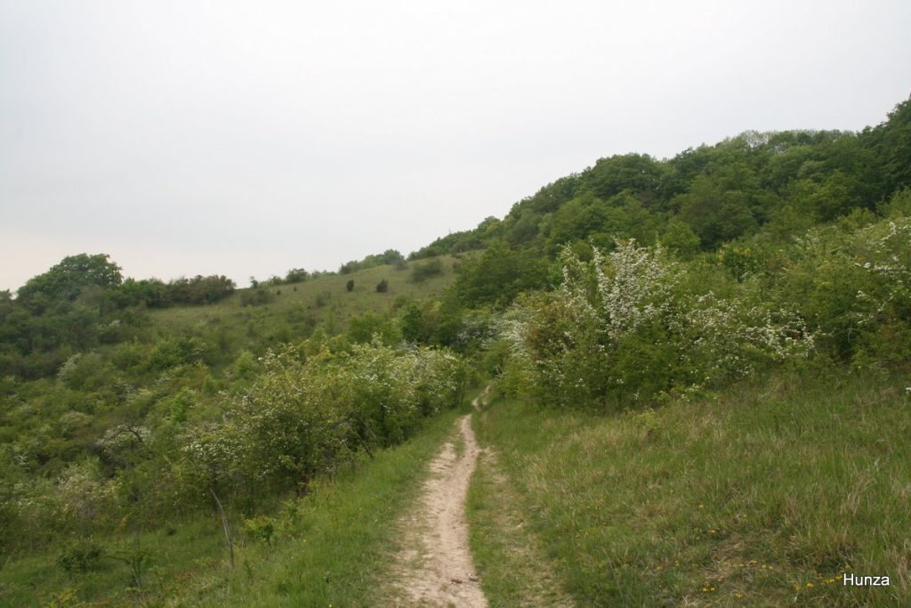 Sentier du GR2 sur les coteaux calcaires près de Giverny