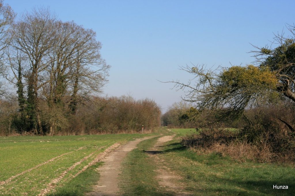 Le GR2 sur le plateau, après la côte de Sainte-Geneviève-lès-Gasny