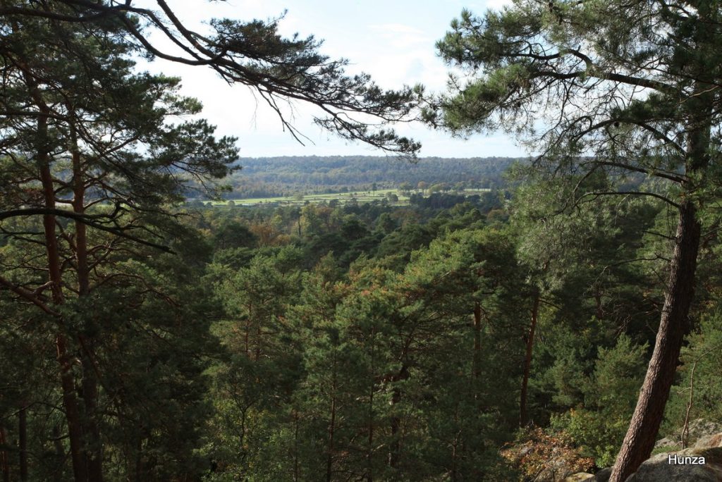 Hippodrome de la Solle vu depuis le point de vue du Rocher Cassepot, dans la forêt de Fontainebleau