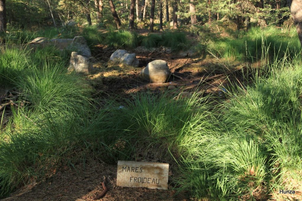 Mares à Froideau sur la platière du Rocher Cassepot