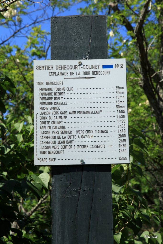 Forêt de Fontainebleau, panneau information sentier Denecourt - Colinet n°2