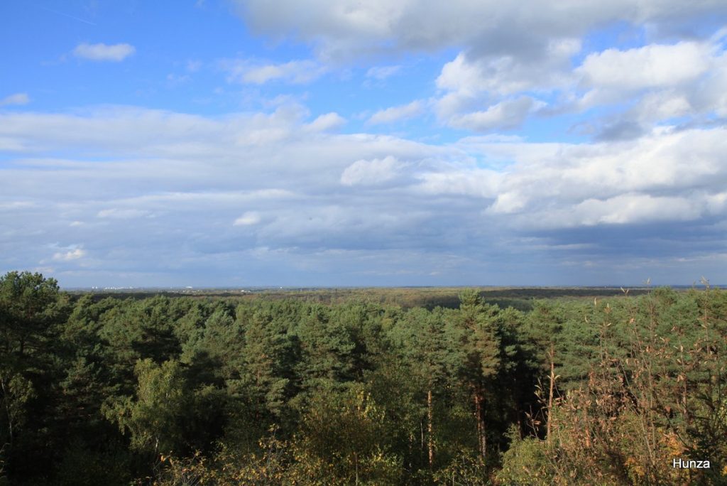 Point de vue de l'Esplanade sur la forêt de Fontainebleau depuis le Rocher Cassepot