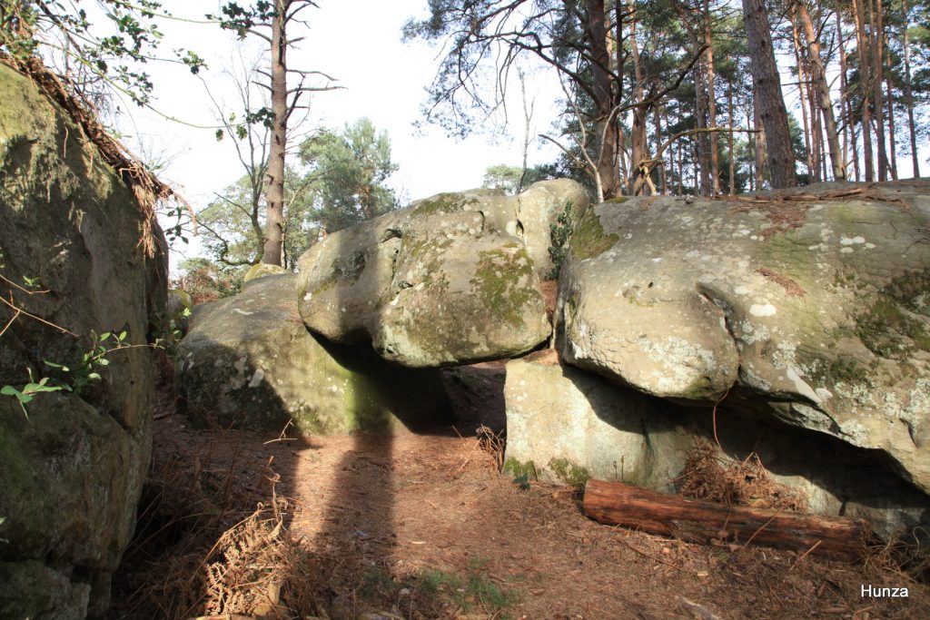 Le secteur du Rocher Canon dans la forêt de Fontainebleau