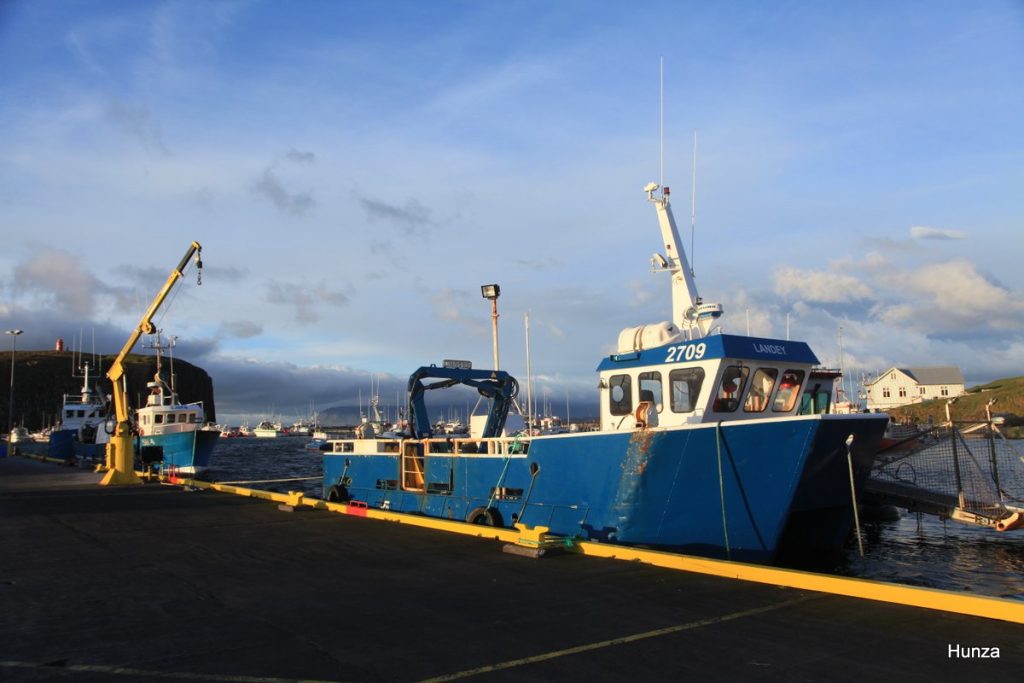 Port de Stykkishólmur dans la lumière du soir 
