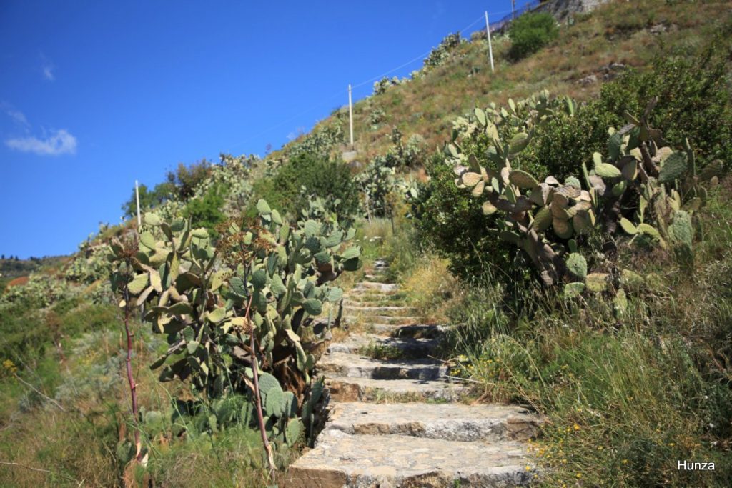 Sentier des Sarrasins reliant Castelmola à Taormine