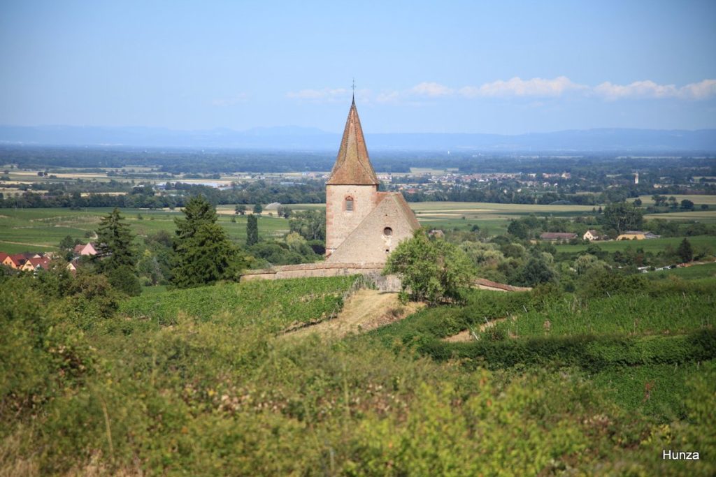 Église fortifiée de Hunawihr dominant les vignobles d'Alsace