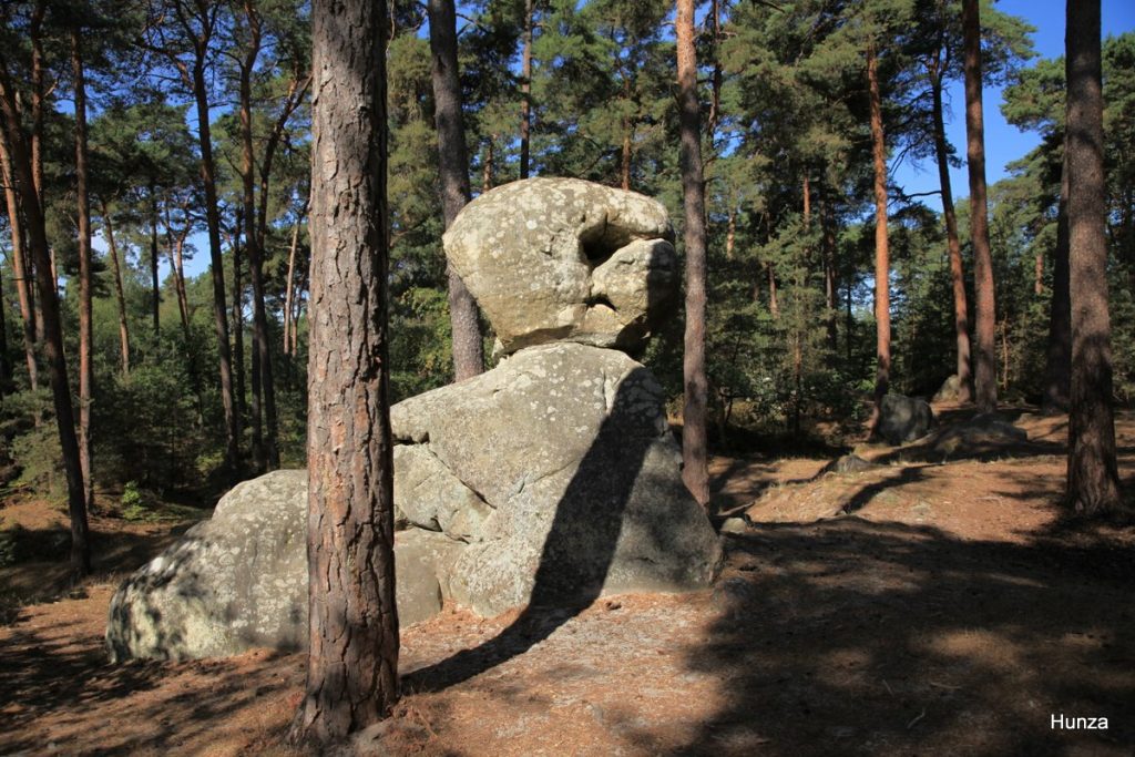 Bloc de grès en forme de sphinx dans le secteur du Rocher Samois dans la forêt de Fontainebleau