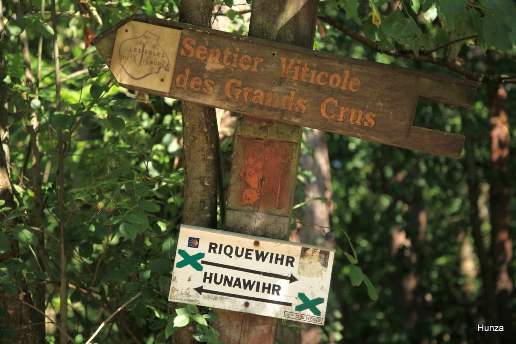 Panneau du sentier viticole des Grands Crus entre Riquewihr et Hunawihr en Alsace
