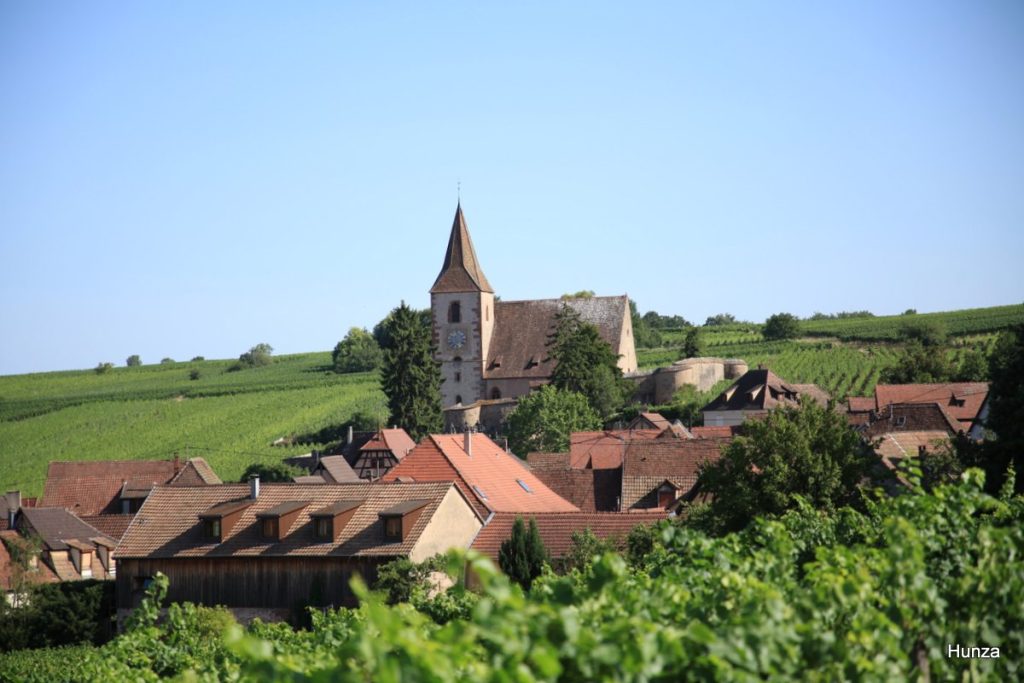 Vue sur Hunawihr et son église fortifiée au cœur des vignobles d'Alsace