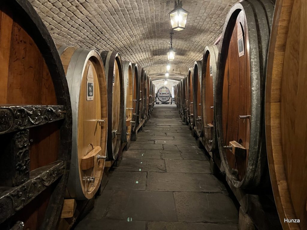 Foudres de la cave historique des Hospices de Strasbourg