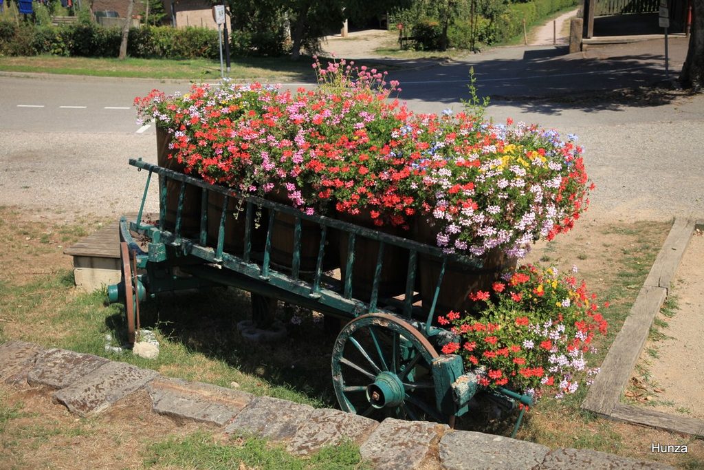 Charrette fleurie à Hunawihr