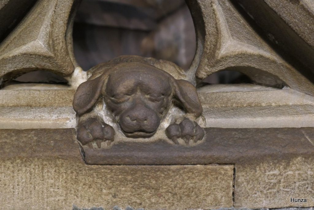 Petit chien de Geiler sur la chaire de la cathédrale de Strasbourg