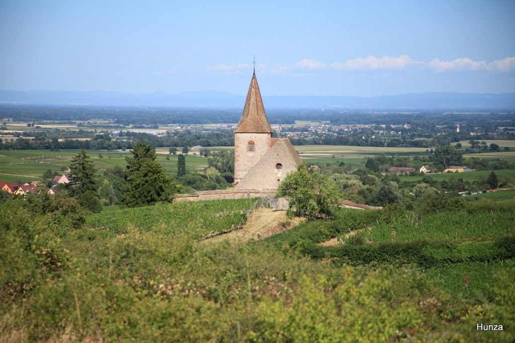 Église fortifiée de Hunawihr au milieu des vignes