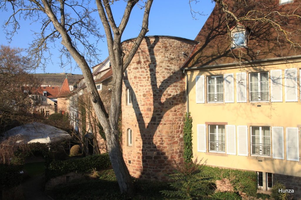 Jardins de l'hôtel À la Cour d'Alsace à Obernai