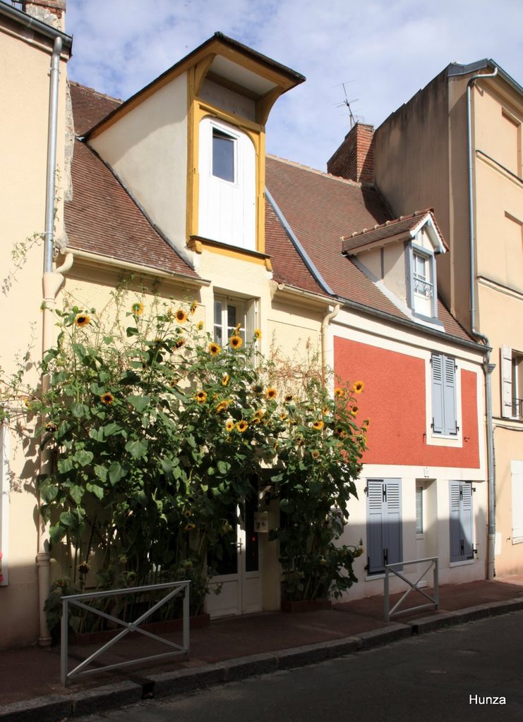 Maisons anciennes rue du Dr Duval à La Roche-Guyon