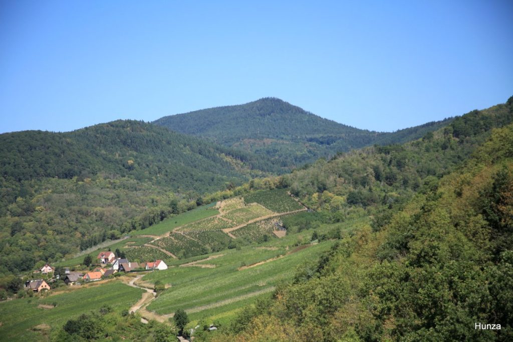 Panorama sur le relief vosgien entourant Kaysersberg depuis le donjon