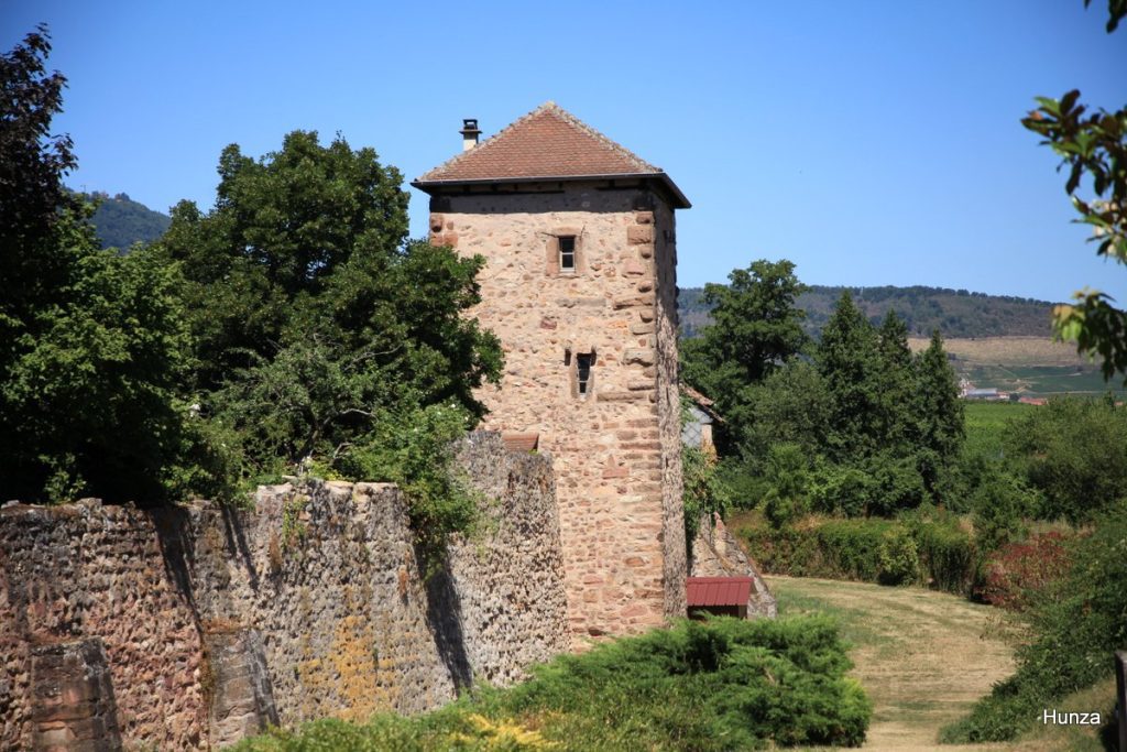 Tour carrée des remparts médiévaux de Bergheim en Alsace