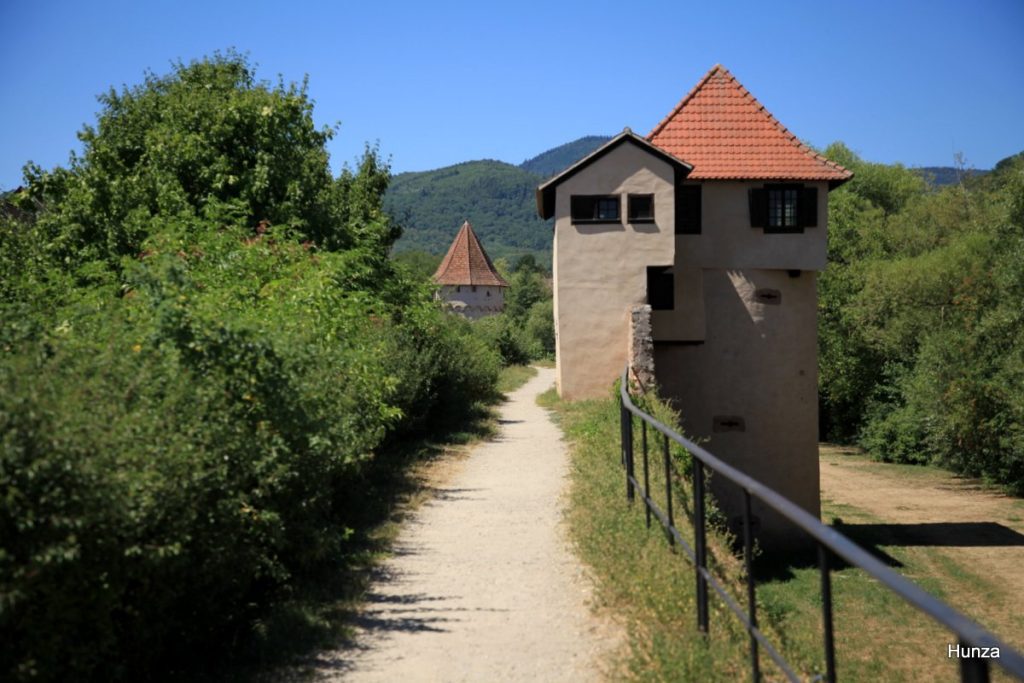 Tour Schwein sur les remparts médiévaux de Bergheim en Alsace