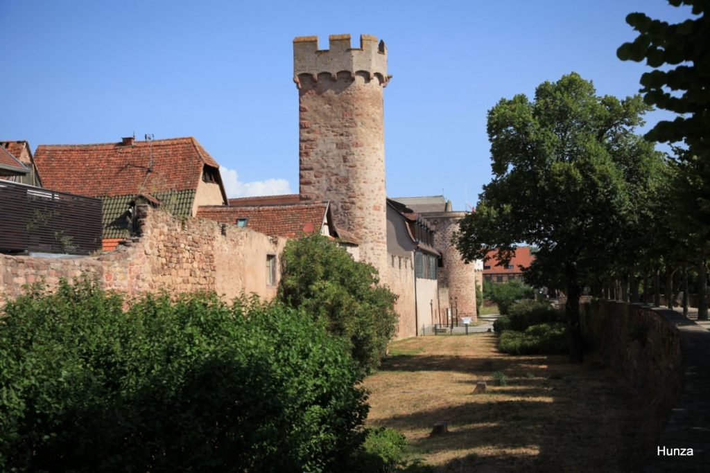 Tour Creuse et tour du Swal sur les remparts d'Obernai