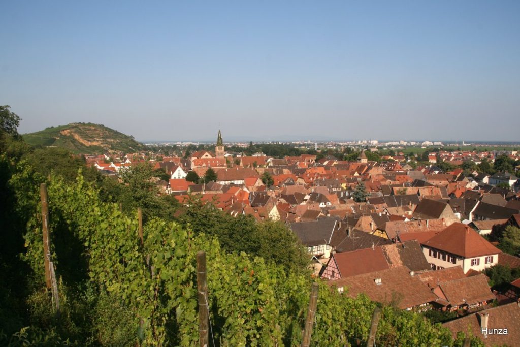 Turckheim vu depuis les vignobles