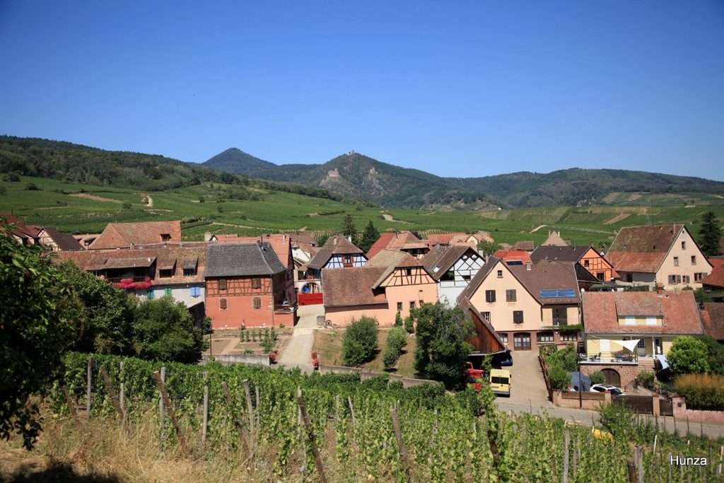 Depuis l'église, vue générale sur Hunawihr au milieu des vignes