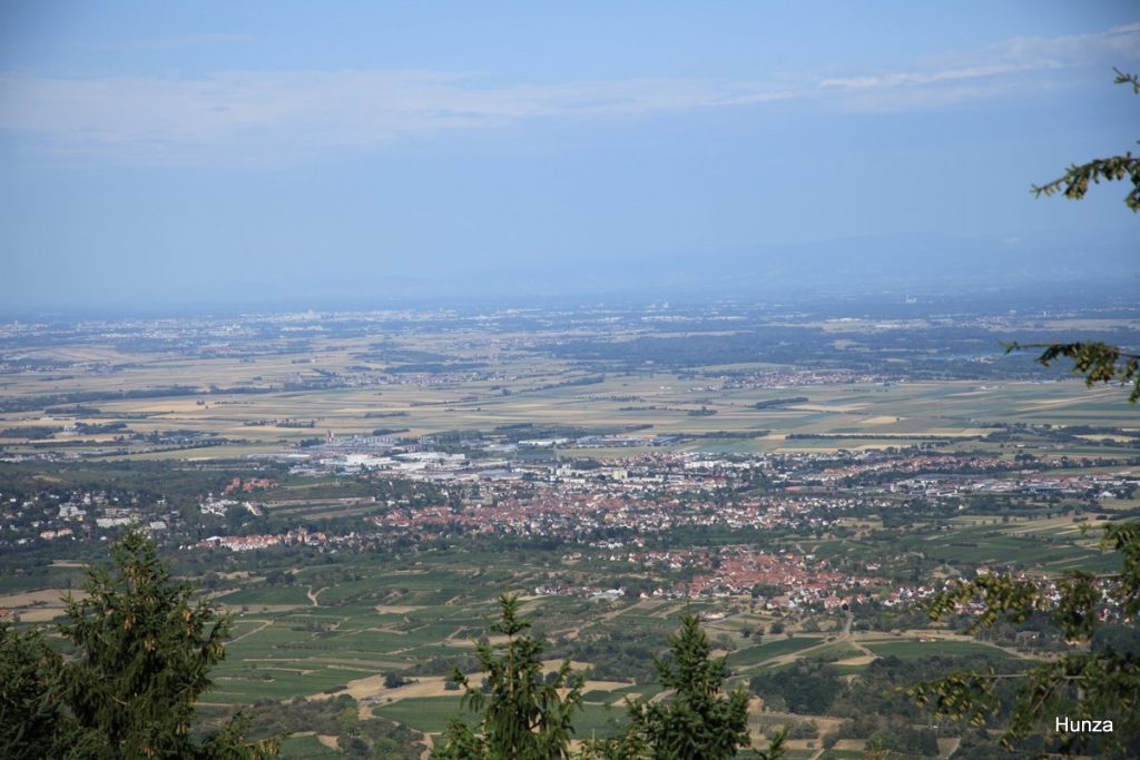 Vue sur Obernai depuis le mont Sainte-Odile