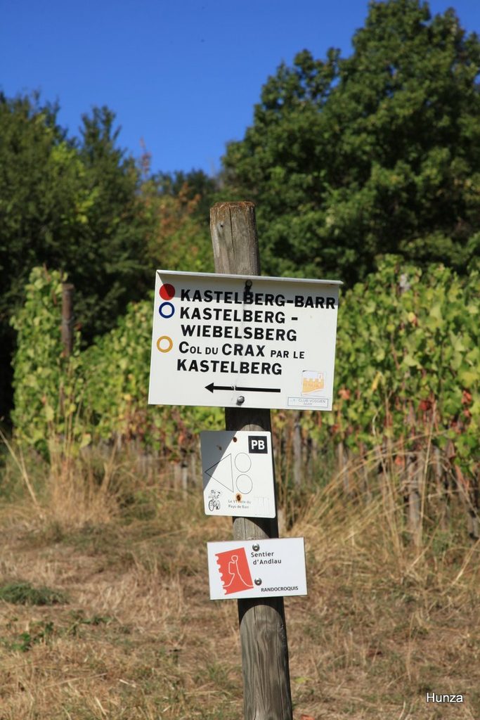 Balisage du Sentier d’Andlau dans le vignoble