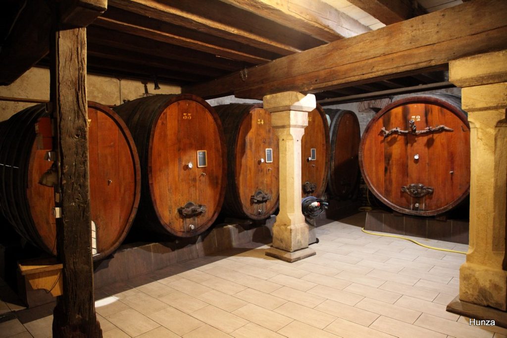 Caves du Domaine Armand Gilg à Mittelbergheim