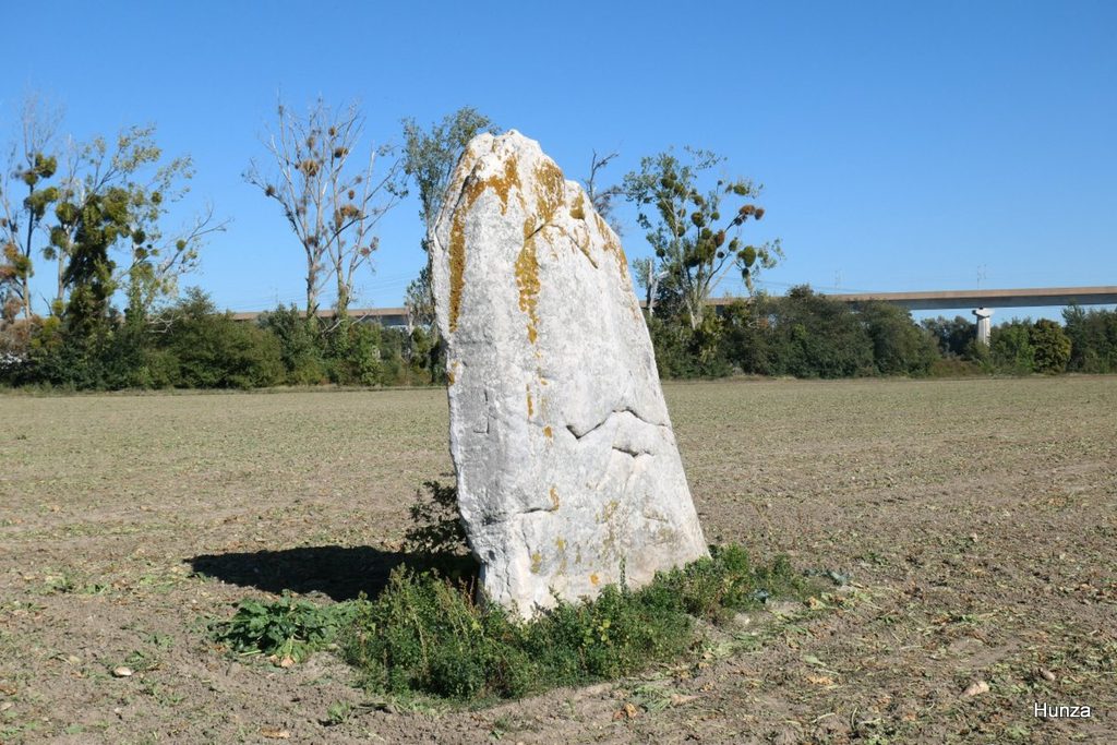 Menhir de la Demoiselle de Rhuis avec le viaduc de la LGV Nord en arrière-plan