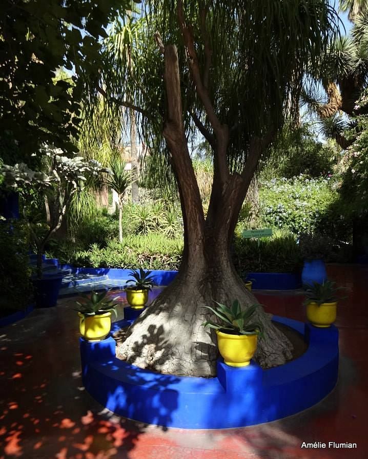 Marrakech, le jardin Majorelle
