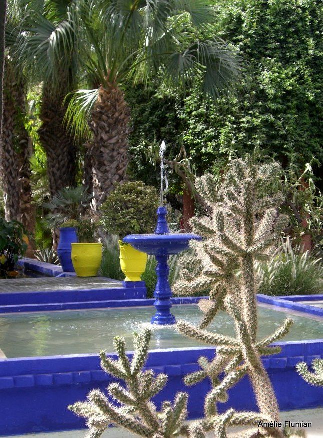 Marrakech, le jardin Majorelle