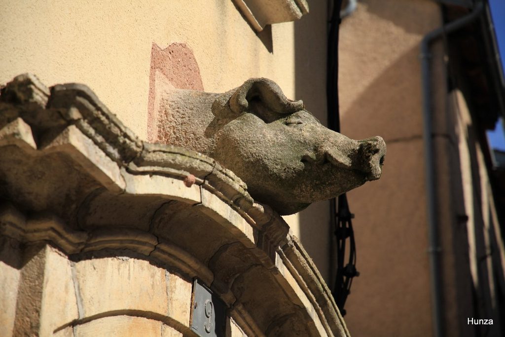 Tête de cochon sculptée sur une maison au n°9 de la rue de Bonald à Rodez