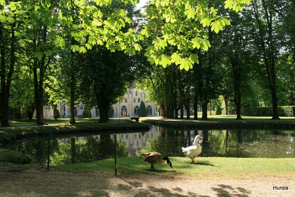 Plan d’eau dans le parc de l’abbaye de Royaumont