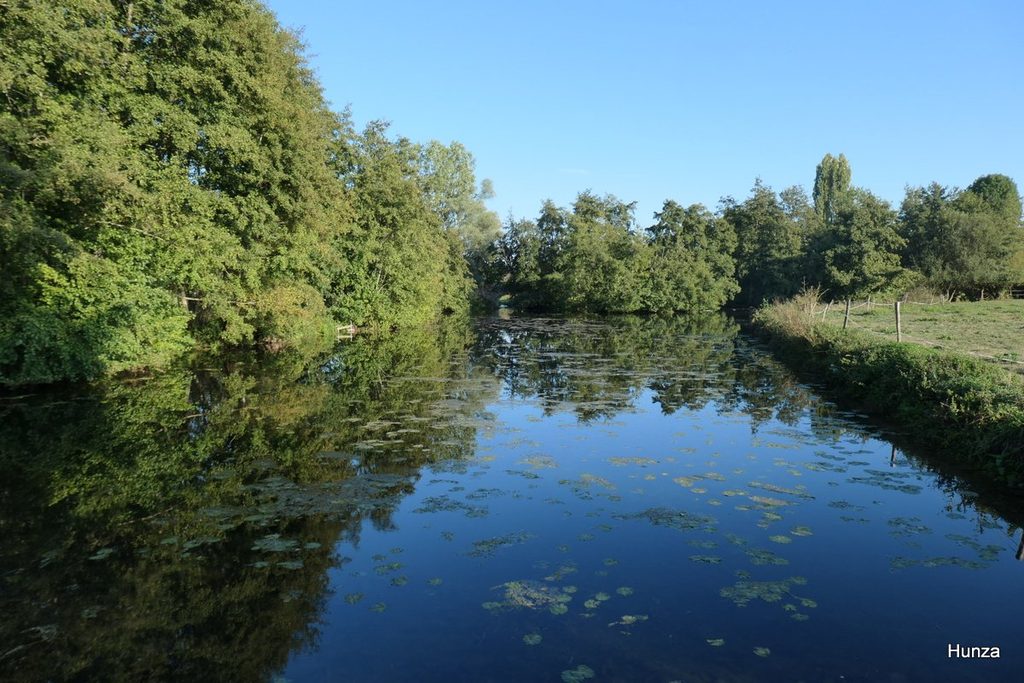 Le Loir à Mémillon
