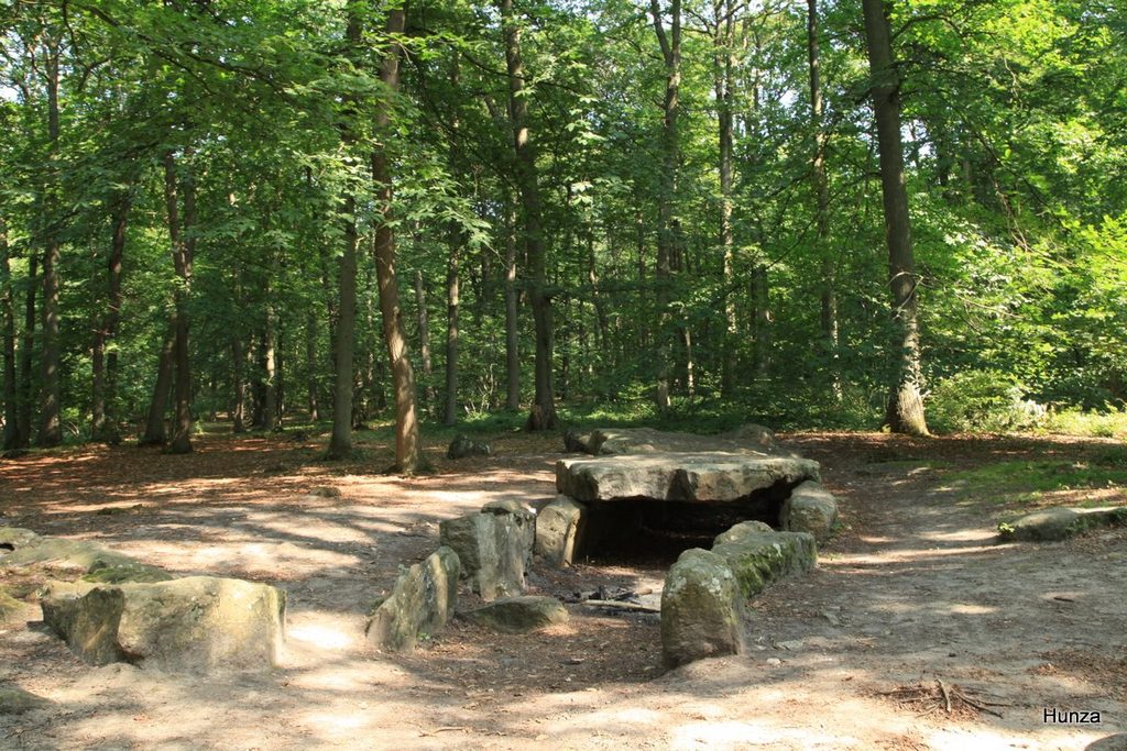 Allée couverte de la Pierre Turquaise dans la forêt de Carnelle